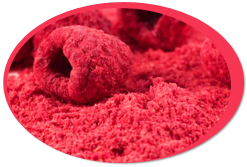 bulk freeze dried fruit powders suppliers vegetable powdered usa